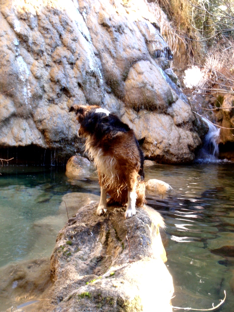 El Barranco de Abellada
