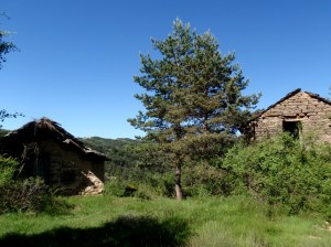 Bordas en San Hipólito