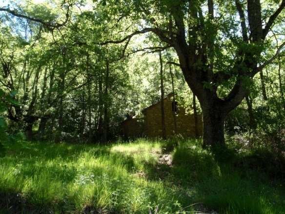 Una borda en las cercanías de Alastrué