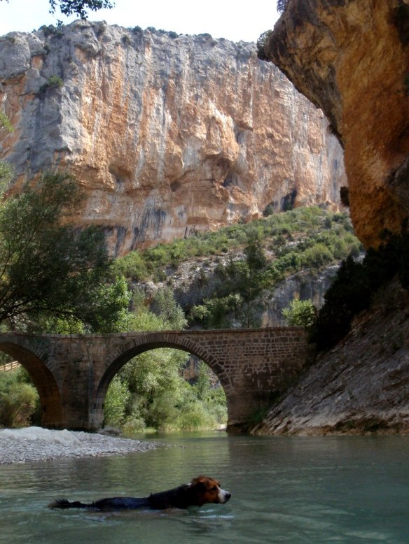 El Puente de Villacantal