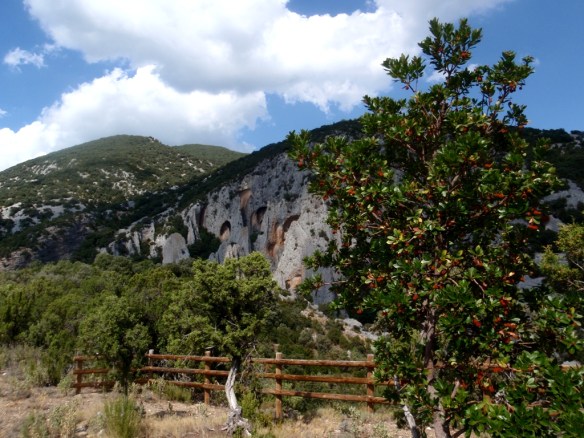 El Mirador de las Capillas
