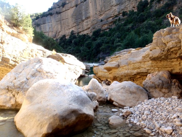 El Tranco de las Olas