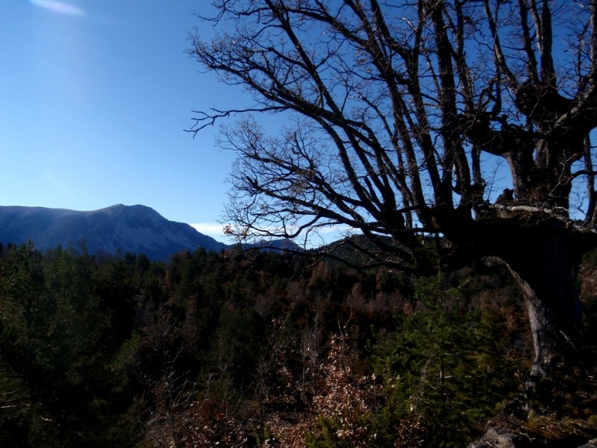 Los alrededores de Abellada