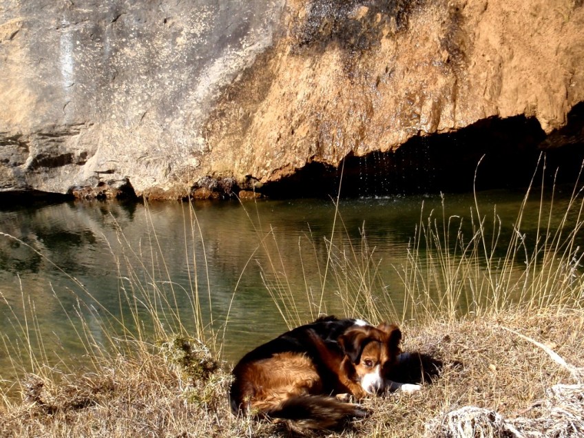 El Barranco de Abellada