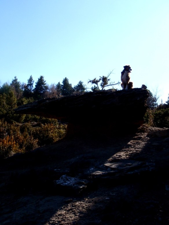 Cerca de Bentué de Nocito Cerca de Bentué de Nocito