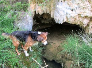 En la cabecera del Barranco de la Tosca