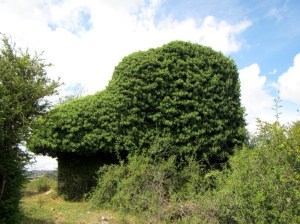 La iglesia de Ibirque