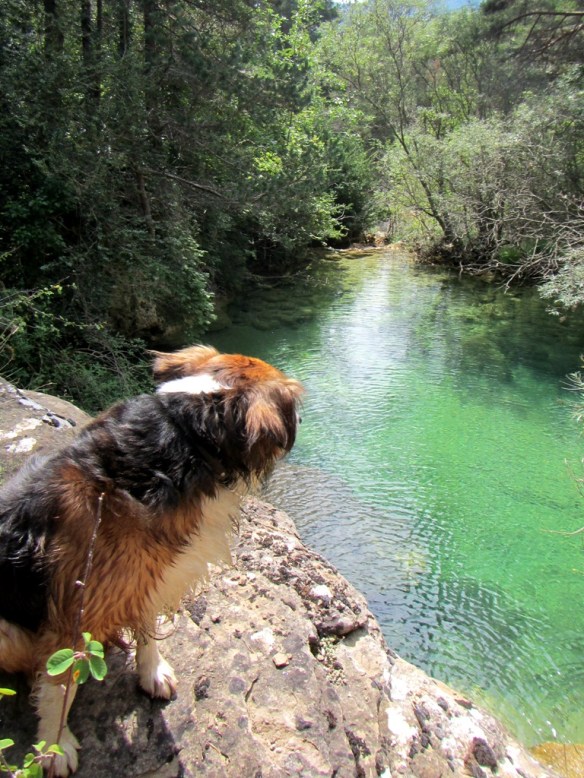 El Barranco de Orlato