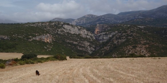 Los amplios campos de Sasamper