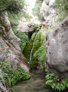 El Barranco del Formiga superior