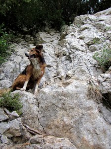 El paso de clavijas al Barranco Cuello