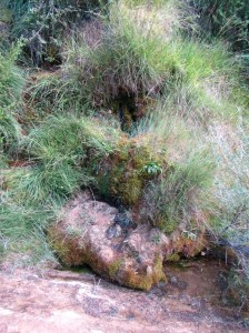 La fuente del Barranco Cuello