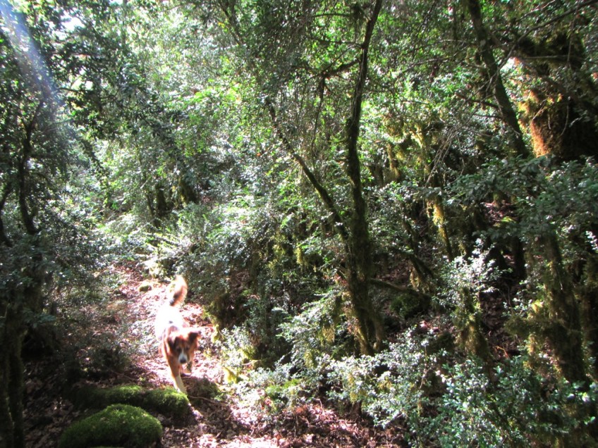 En el camino al Barranco Cajical