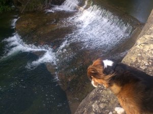 El azud de Arbaniés