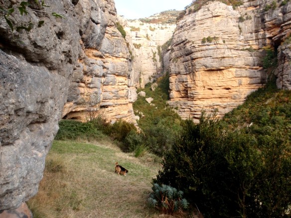 Robert juega en la hierba de la faja que ubica la Ermita de San Julián