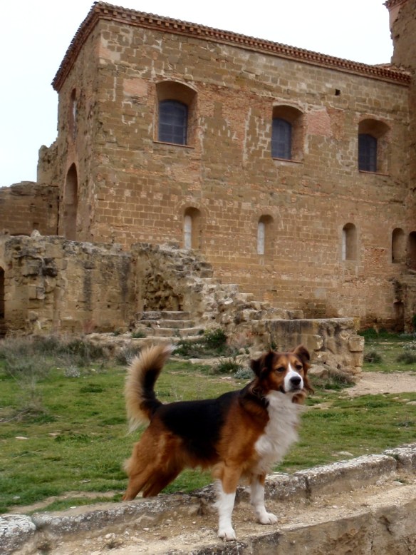 El Castillo de Montearagón