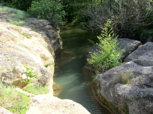 El Galacho de Navales