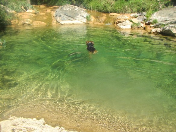 La Poza del Flumen cerca de la confluencia