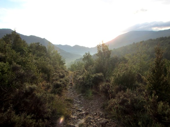 En el camino de acceso