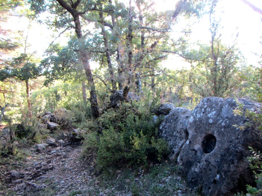 El sendero que baja a los Campos de Llorente