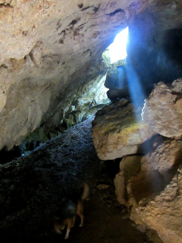 La Cueva de los Murciélagos