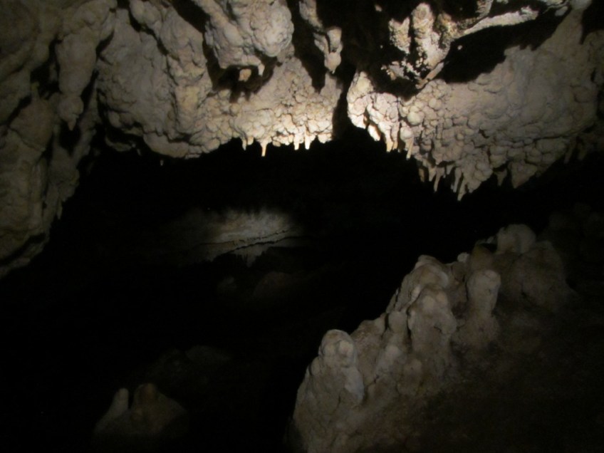 La Cueva de los Murciélagos