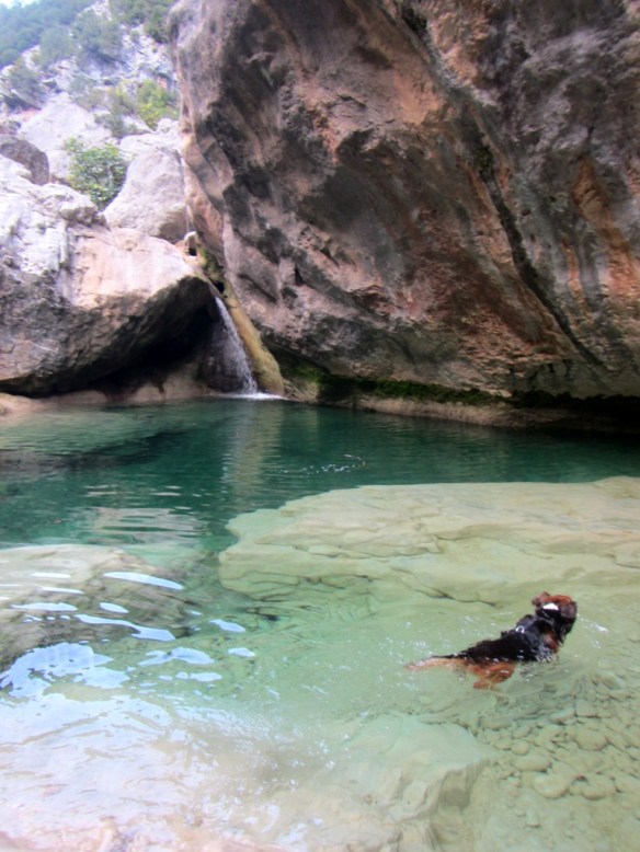 Los Bozos de Palomera
