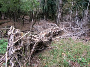 El ambiente en los campos abandonados del Monasterio de San Cosme es tenebroso
