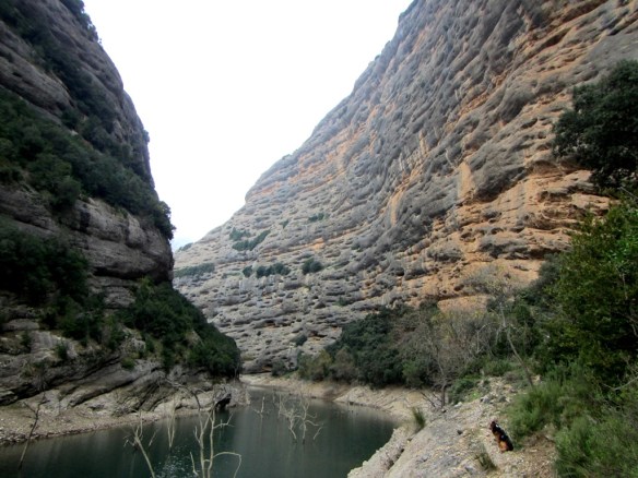 La cola del Embalse de Vadiello hacia San Cosme