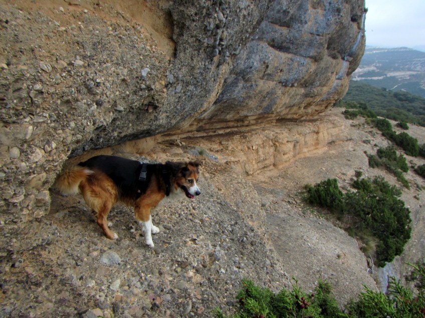 En la cornisa superior al Paso de Natersa