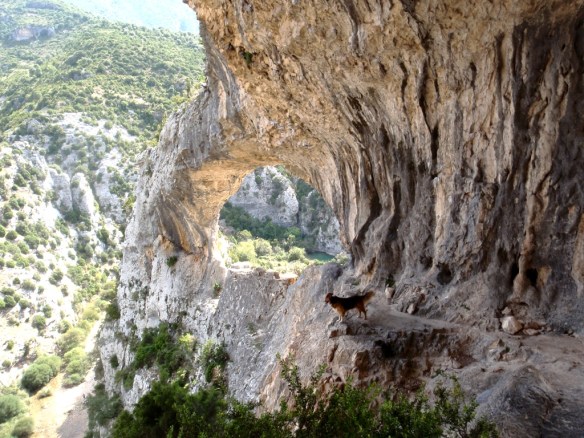 Los Ventanales del Mascún