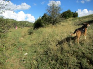 En la cara norte del Tozal de Lusera