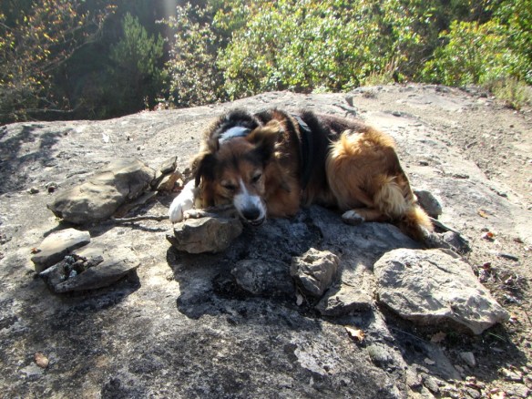Robert y las Galochetas de San Úrbez