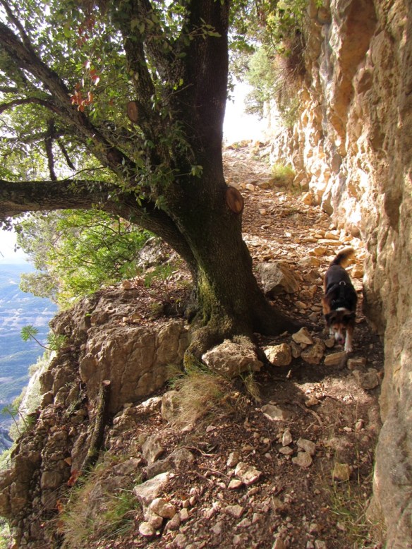 Últimos tramo para llegar a la crestería donde se ubica el Castillo de los Santos.