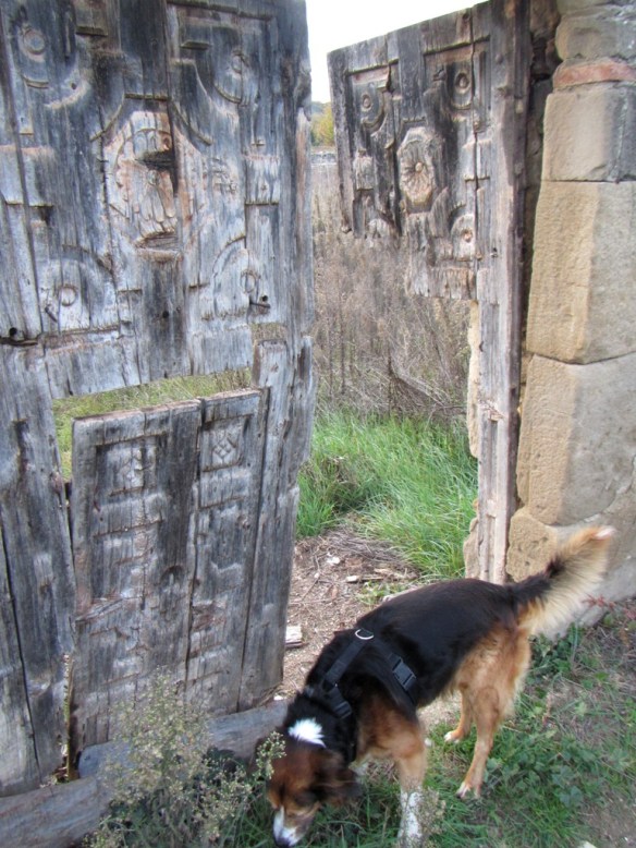 Detalle de un portal a un campo