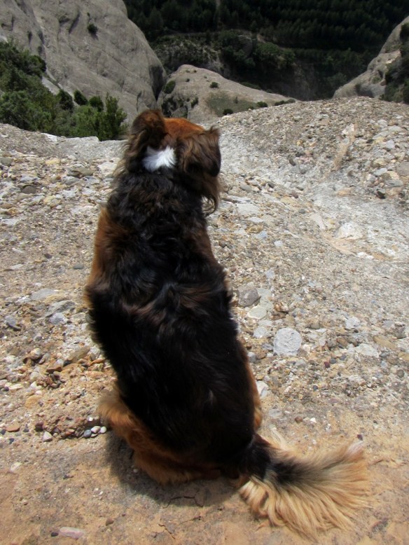 Robert en el Paso de la Losa