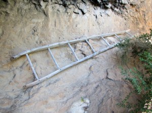 Encuentro con la vida pastoral