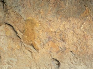 Las pinturas rupestres del Abrigo de Muriecho