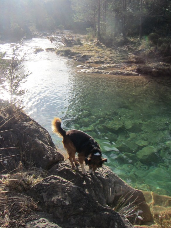 Pozas vírgenes de aguas cristalinos en el Río Flumen, Barranco Barón y de la Tosca