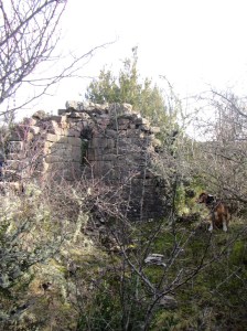 Las ruinas del Templo de Usieto escondido en la maleza
