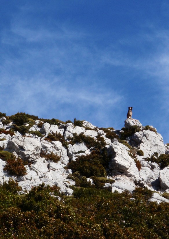 Cerca de la cima del Tozal de Guara