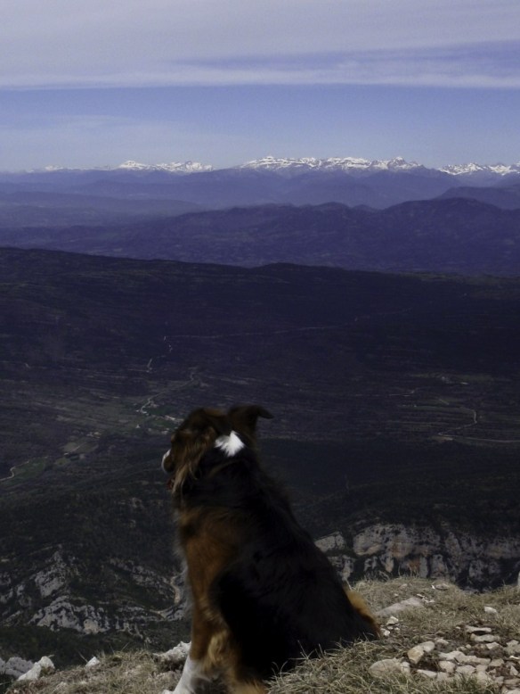 Las vistas desde el Tozal de Guara
