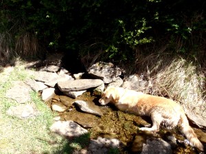 La Fuente de la Paúl