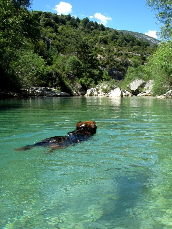 Robert y el Río Alcanadre