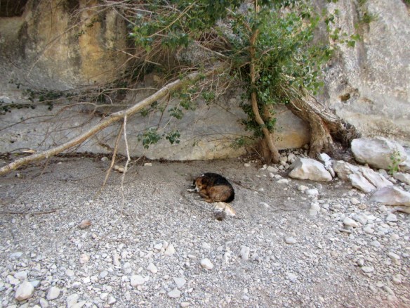 En la Fuente de los Arenales