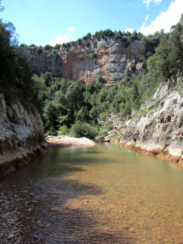 La Peonera Superior cerca de la Fuente de los Arenales