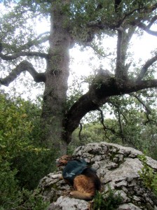 Uno de los caxicos cerca del Cuello Lizana