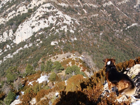 El Pico de Mondinero