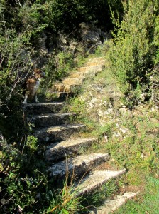 Las escaleras que ascienden al Refugio de Santa María de Belsué