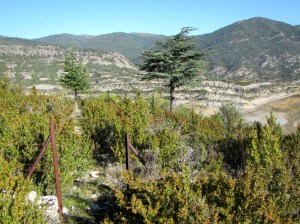 La senda que asciende a la Cresta del Escalar